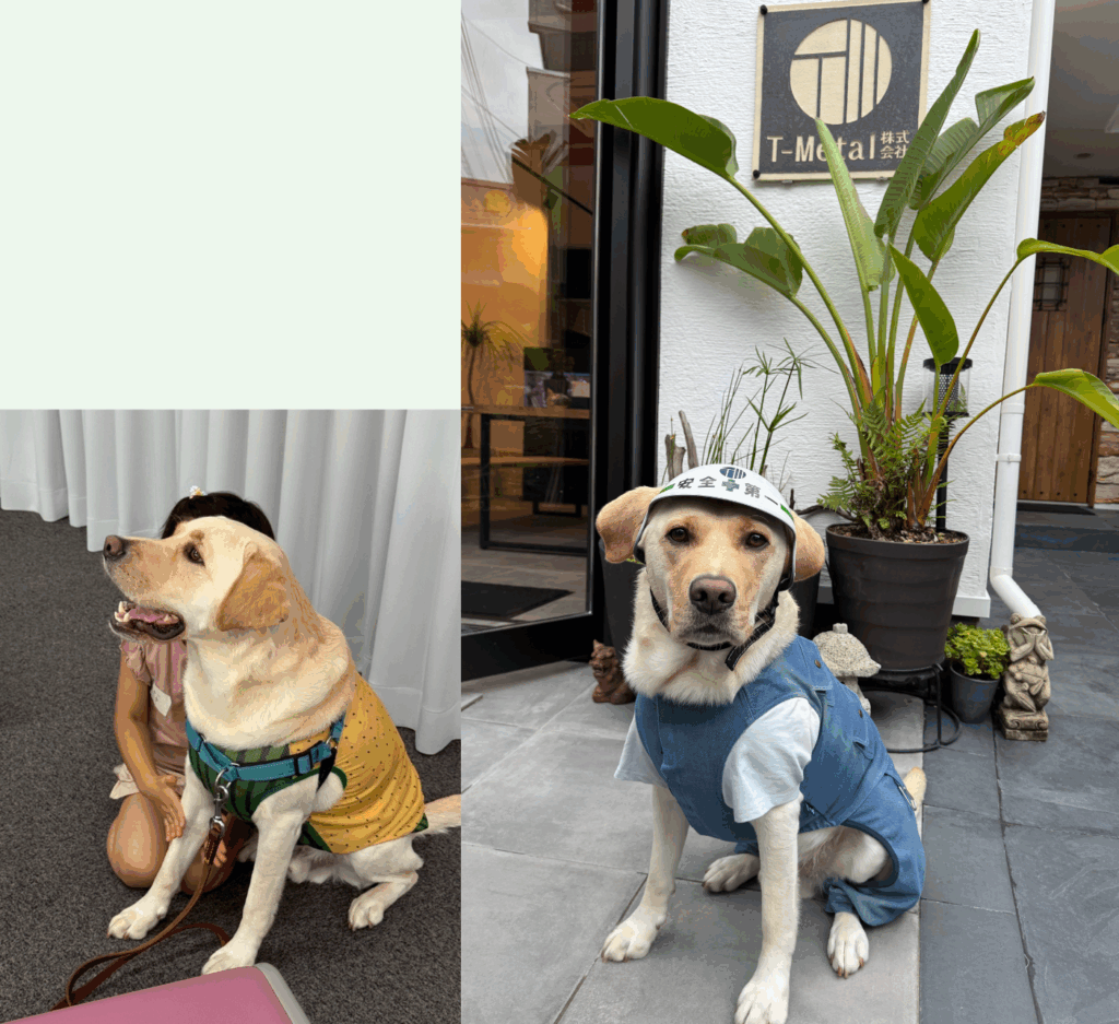 T-Metal広報部長-2